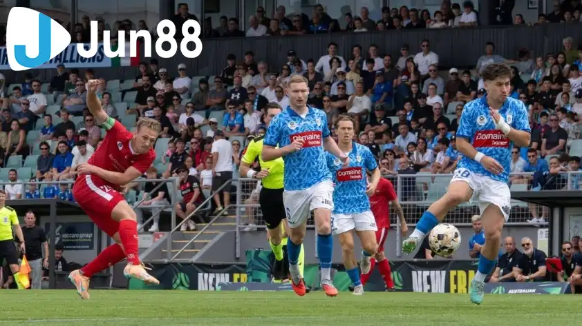 Wollongong Wolves và Marconi Stallions nhiều khả năng sẽ tạo nên một trận đấu kịch tính và khó lường.